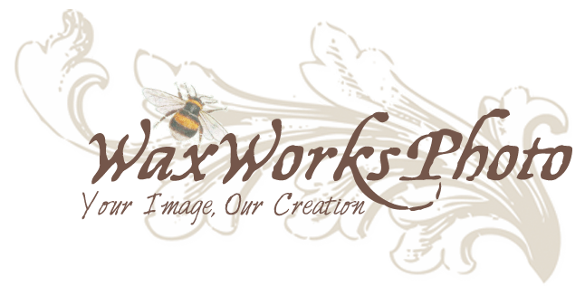 Waxworksphoto logo